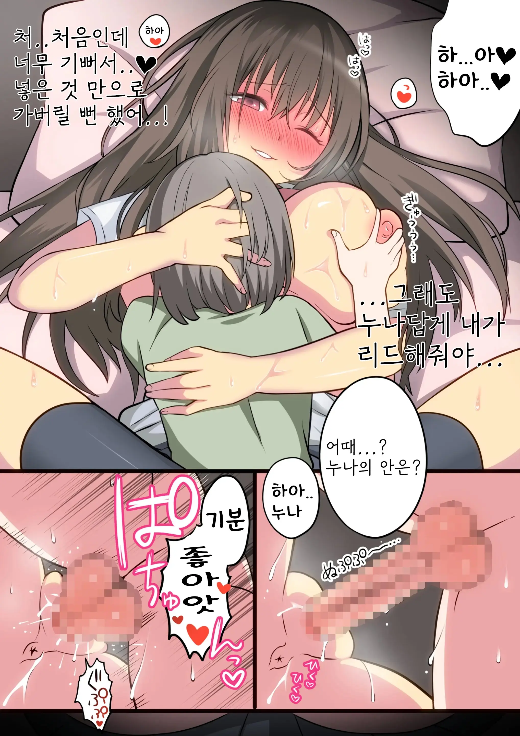 Seiyoku Tsuyome Na Onee-Chan To Icha Love Orusuban Ecchi!